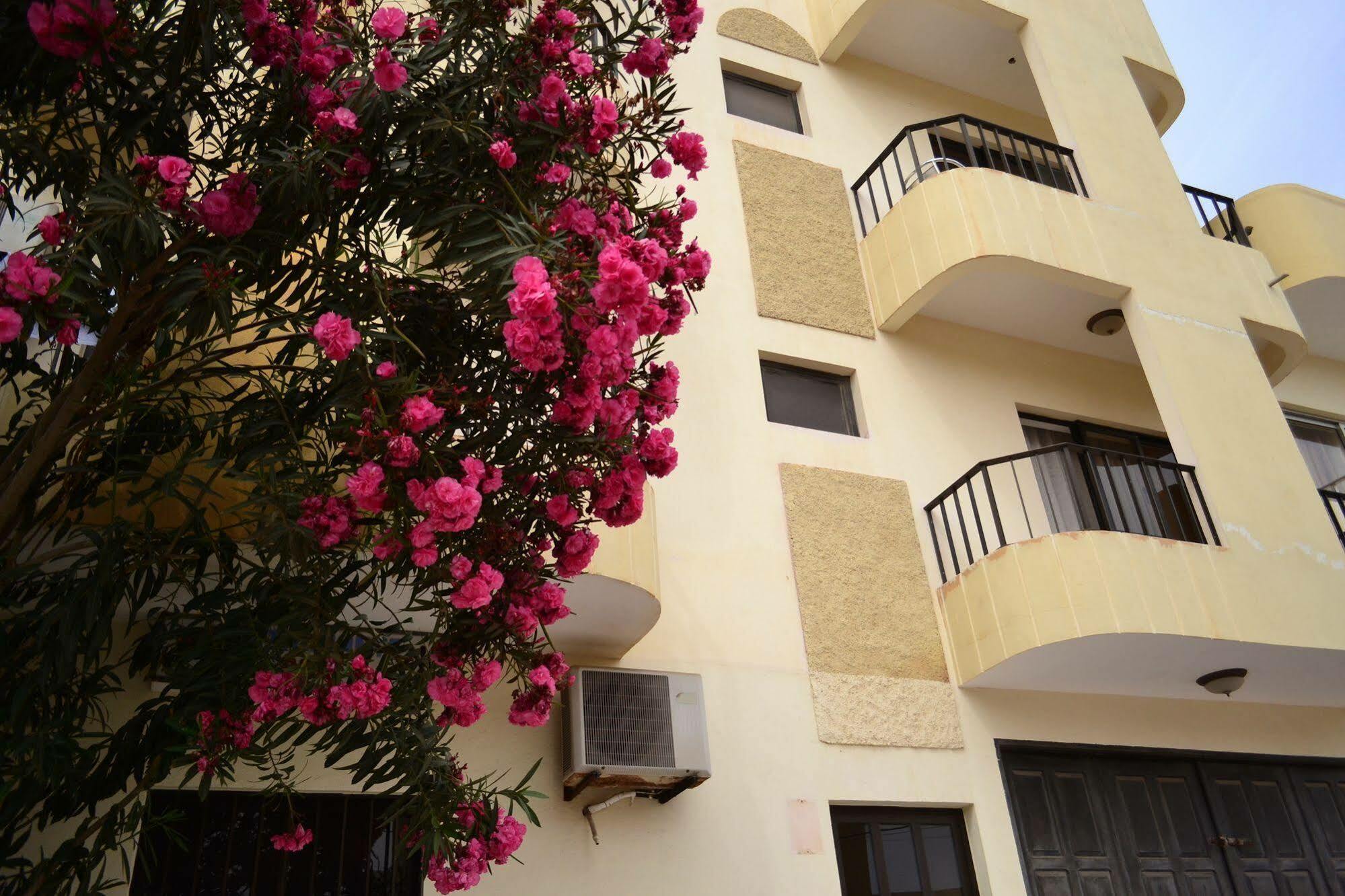 Hotel Central Sal Santa Maria Bagian luar foto
